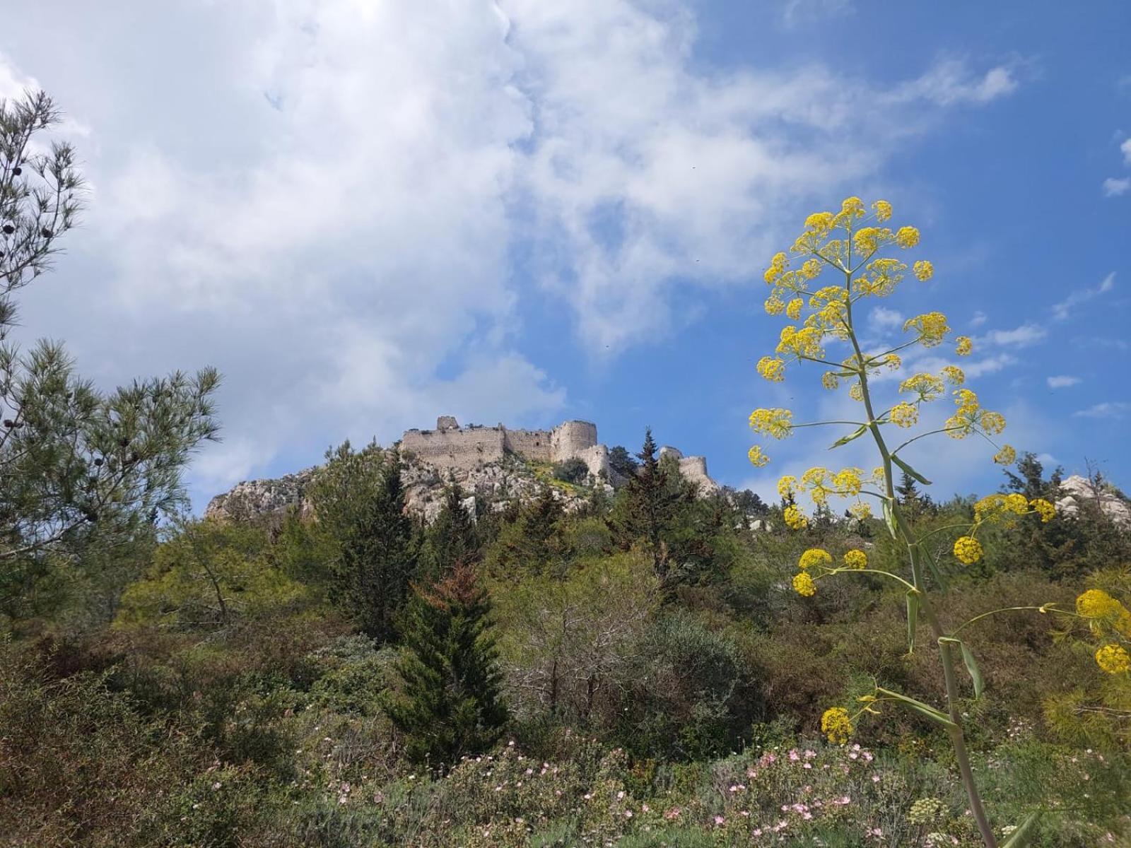 Boghaz Exotic Hotel & Spa מראה חיצוני תמונה